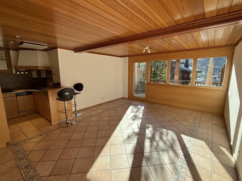 Charmante Wohnung mit schönen Matterhornblick - primary residence (12)