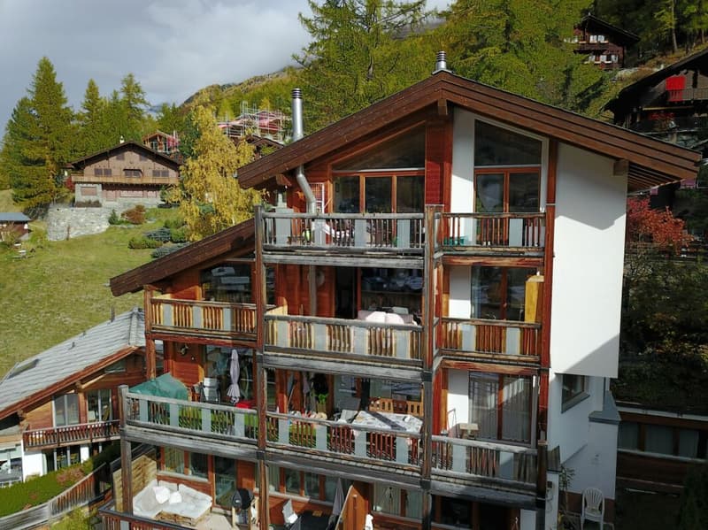 Charmante Wohnung mit schönen Matterhornblick - primary residence (26)