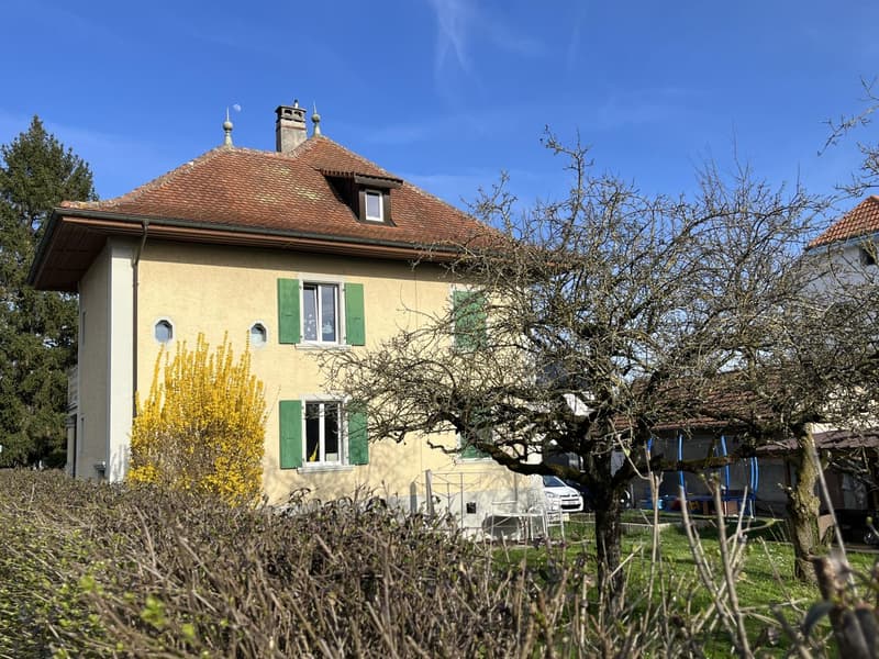 Multi-apartment house with 7.5 rooms in Payerne (3)