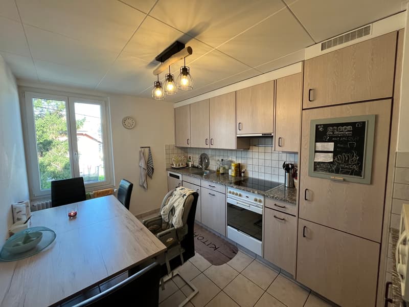 VERY NICE DUPLEX WITH LARGE PRIVATE GARDEN (4)