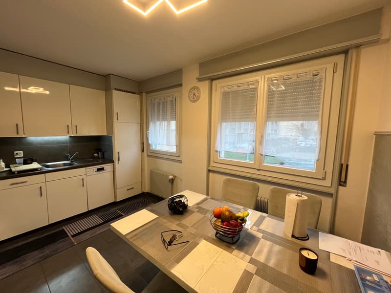 Completely renovated, bright, well-located (3)