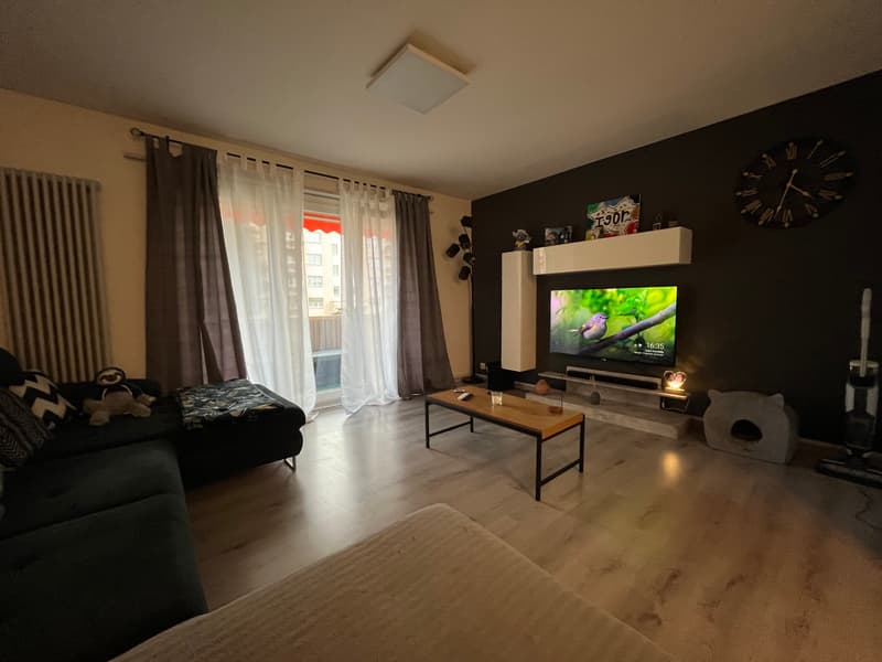 Completely renovated, bright, well-located (9)