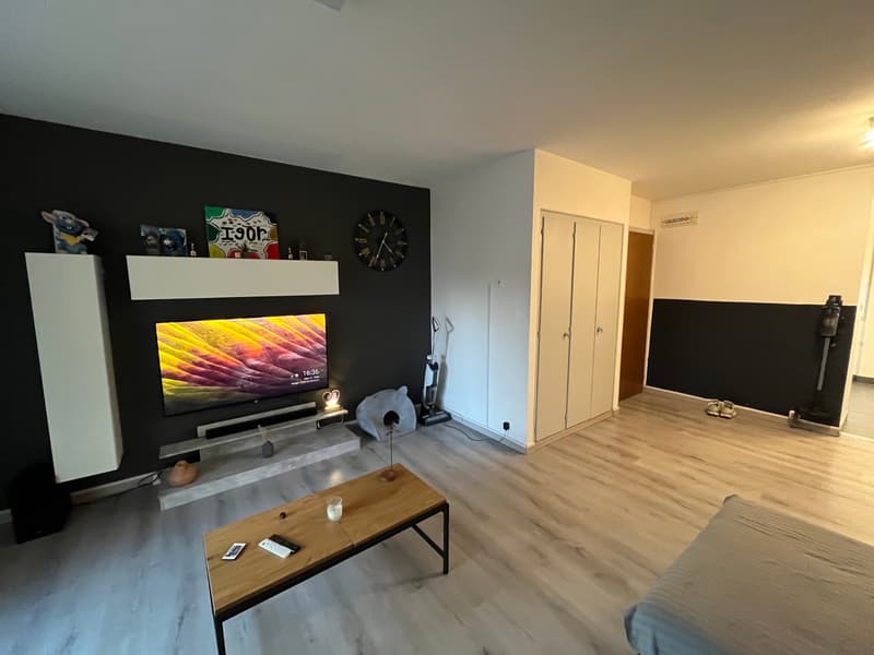 Completely renovated, bright, well-located (2)