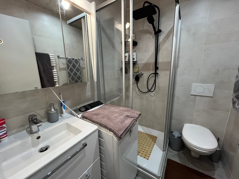 Completely renovated, bright, well-located (6)