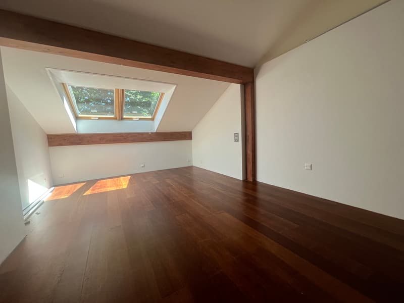 MAGNIFICENT ATTIC, WITH CHARACTER (10)