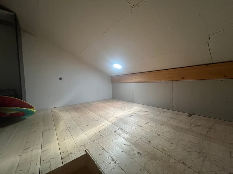MAGNIFICENT ATTIC, WITH CHARACTER (12)