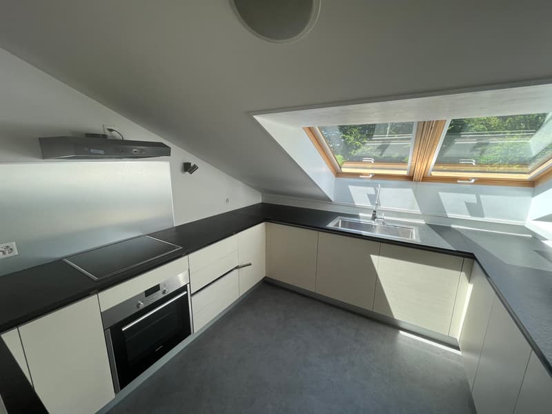 MAGNIFICENT ATTIC, WITH CHARACTER (6)