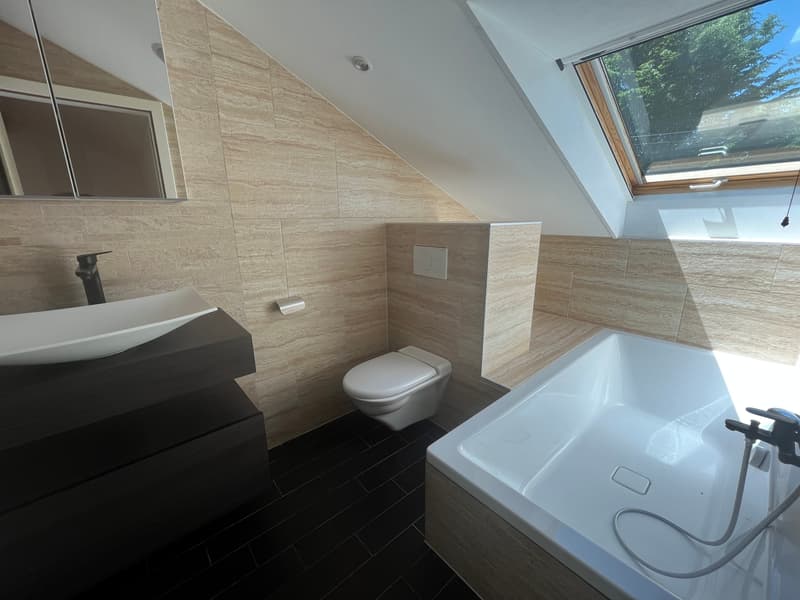 MAGNIFICENT ATTIC, WITH CHARACTER (8)