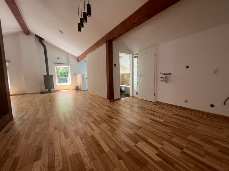 MAGNIFICENT ATTIC, WITH CHARACTER (5)