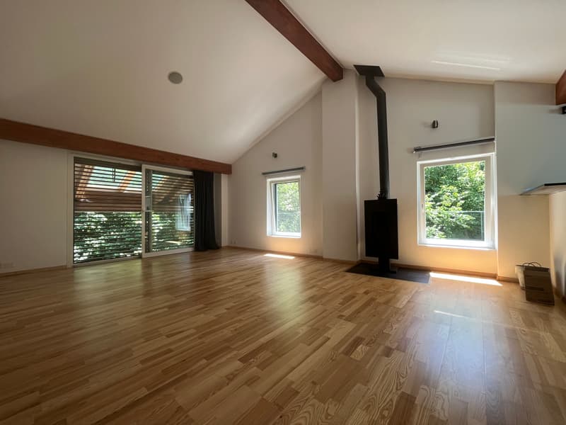MAGNIFICENT ATTIC, WITH CHARACTER (3)