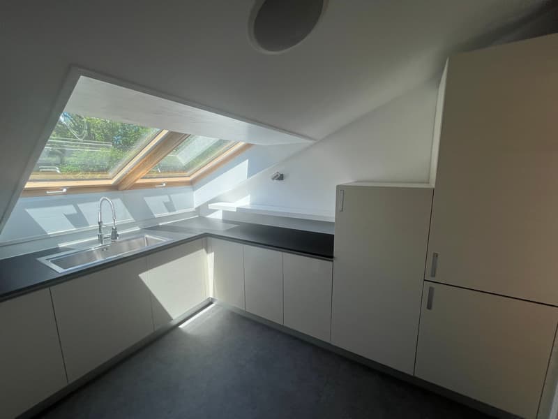 MAGNIFICENT ATTIC, WITH CHARACTER (7)