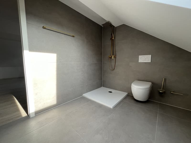 MERAVIGLIOSO DUPLEX CON GIARDINO PRIVATO (12)