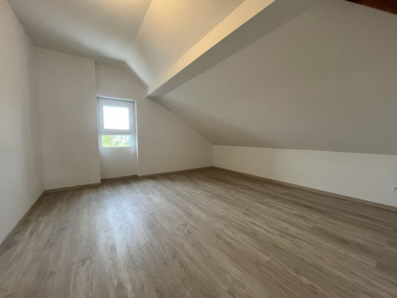 MERAVIGLIOSO DUPLEX CON GIARDINO PRIVATO (9)