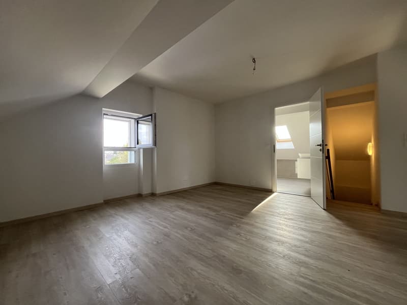 MERAVIGLIOSO DUPLEX CON GIARDINO PRIVATO (11)