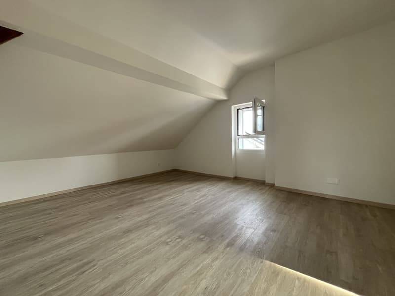 MERAVIGLIOSO DUPLEX CON GIARDINO PRIVATO (10)