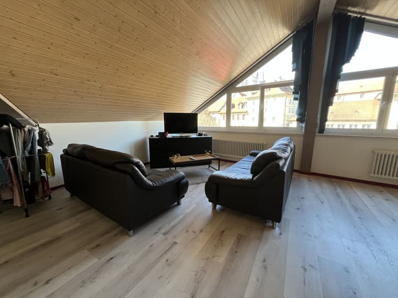 MAGNIFICENT ATTIC, WITH A VIEW OF THE ABBEY (3)