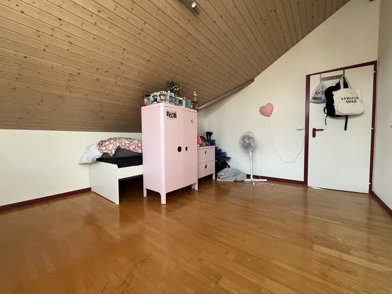 MAGNIFICENT ATTIC, WITH A VIEW OF THE ABBEY (9)