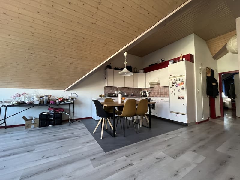 MAGNIFICENT ATTIC, WITH A VIEW OF THE ABBEY (4)