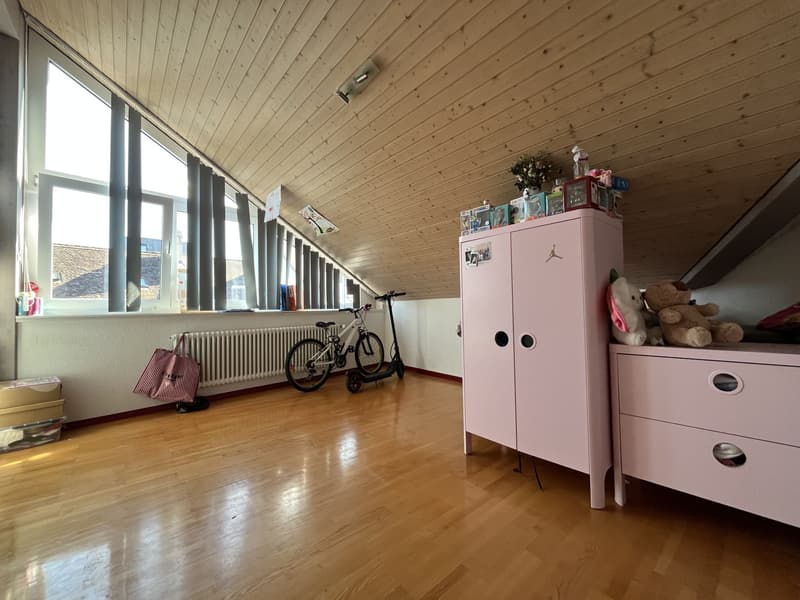 MAGNIFICENT ATTIC, WITH A VIEW OF THE ABBEY (8)