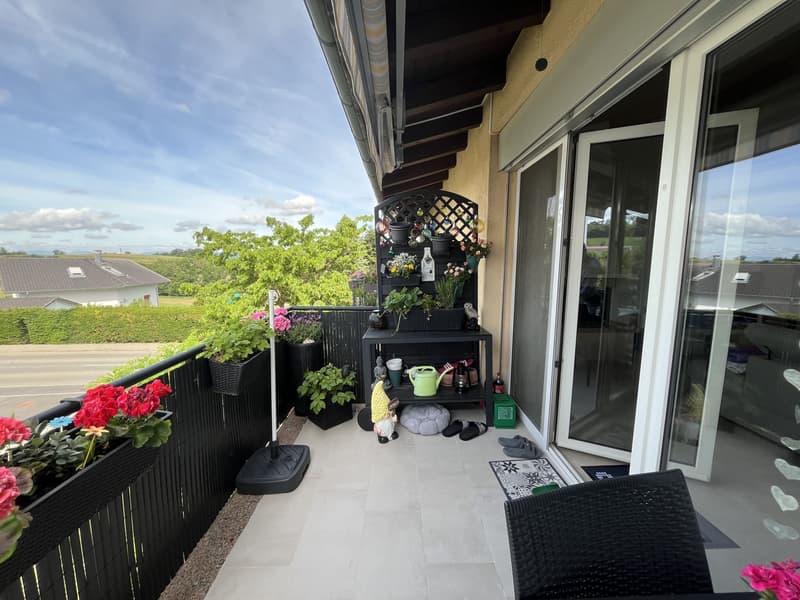 MAGNIFIQUE ATTIQUE, TRES SPACIEUX ET MODERNE (7)