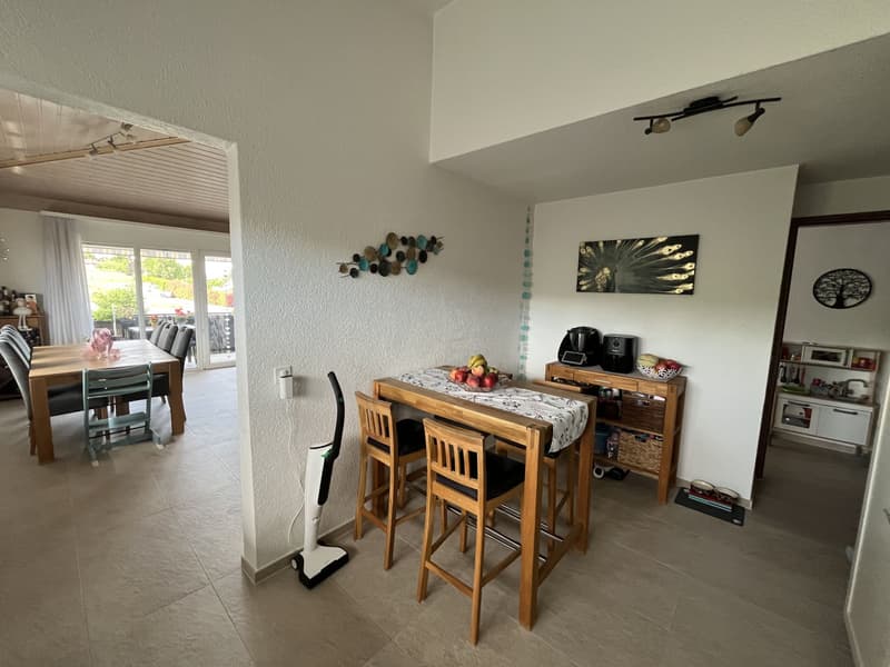 MAGNIFIQUE ATTIQUE, TRES SPACIEUX ET MODERNE (10)