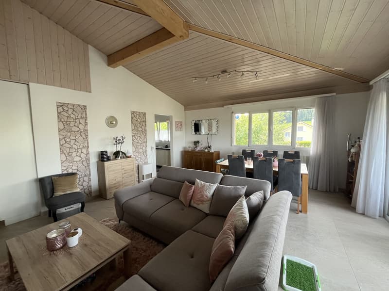 MAGNIFIQUE ATTIQUE, TRES SPACIEUX ET MODERNE (4)