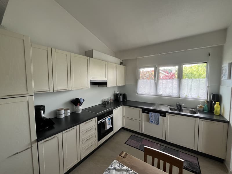 MAGNIFIQUE ATTIQUE, TRES SPACIEUX ET MODERNE (12)