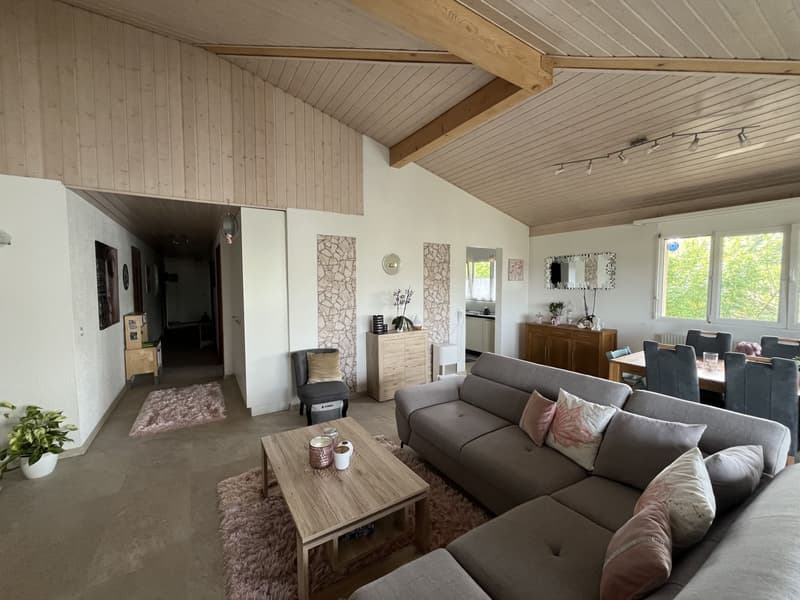 MAGNIFIQUE ATTIQUE, TRES SPACIEUX ET MODERNE (5)