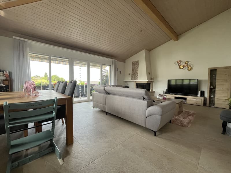 MAGNIFIQUE ATTIQUE, TRES SPACIEUX ET MODERNE (3)