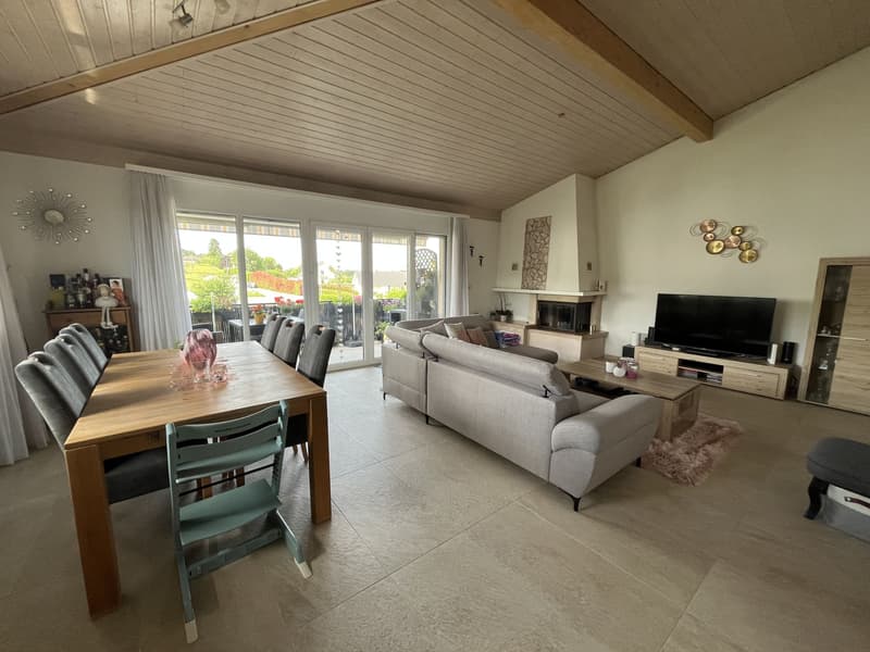 MAGNIFIQUE ATTIQUE, TRES SPACIEUX ET MODERNE (13)