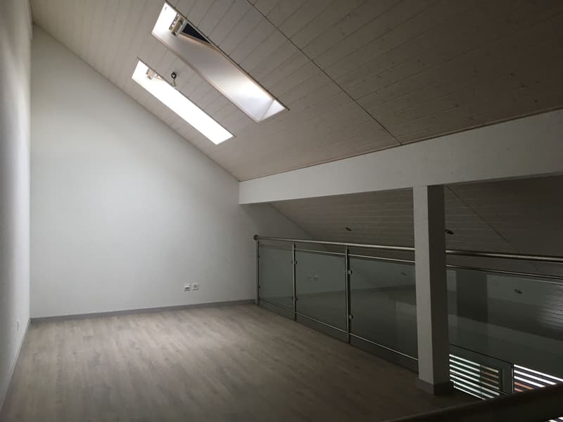 MAGNIFIQUE DUPLEX EN ATTIQUE (9)