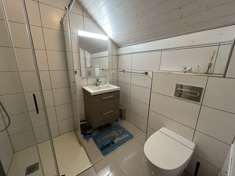 MAGNIFIQUE DUPLEX EN ATTIQUE (12)