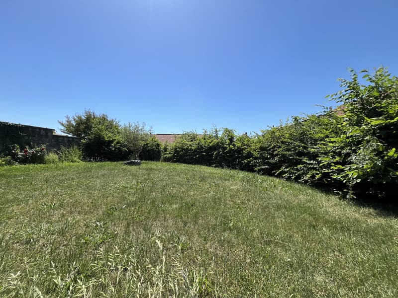MAGNIFIQUE DUPLEX EN ATTIQUE (2)