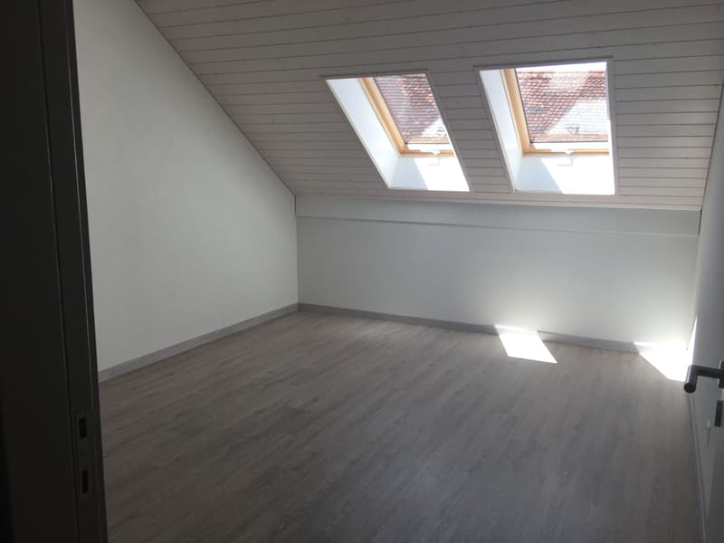 MAGNIFIQUE DUPLEX EN ATTIQUE (7)