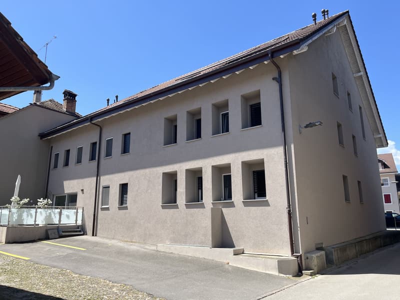 MAGNIFIQUE DUPLEX EN ATTIQUE (1)