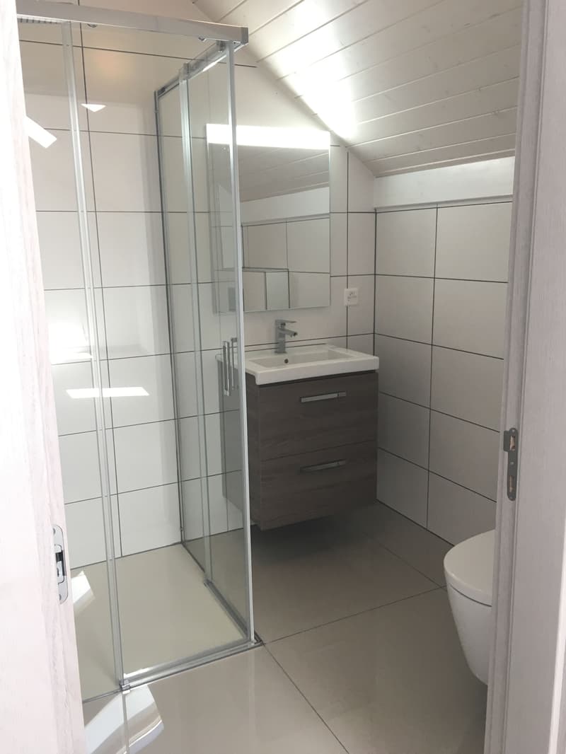 MAGNIFIQUE DUPLEX EN ATTIQUE (10)