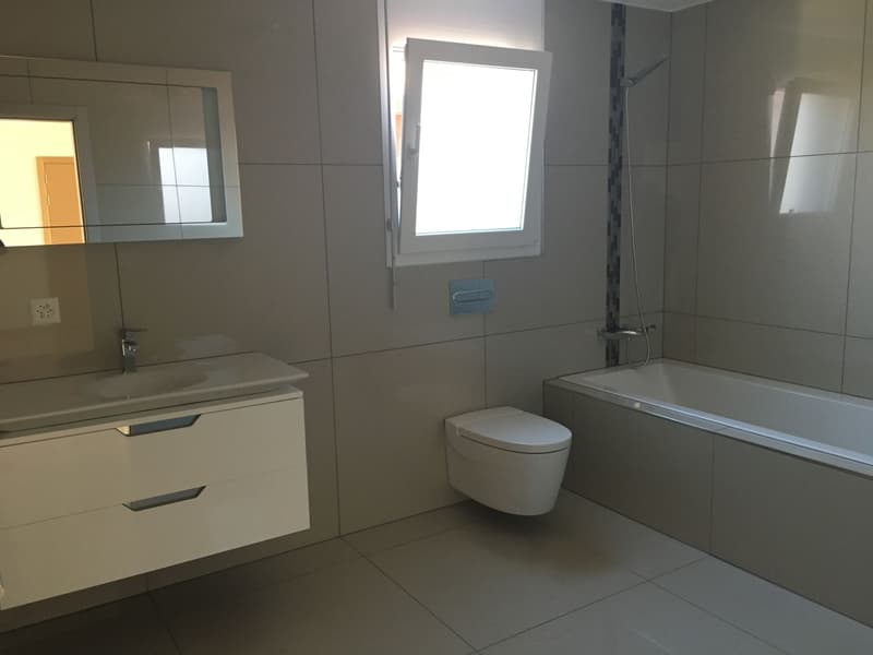 MAGNIFIQUE DUPLEX EN ATTIQUE (8)