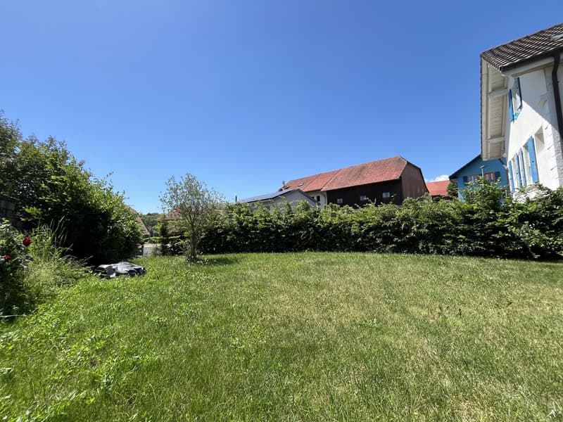 MAGNIFIQUE DUPLEX EN ATTIQUE (3)