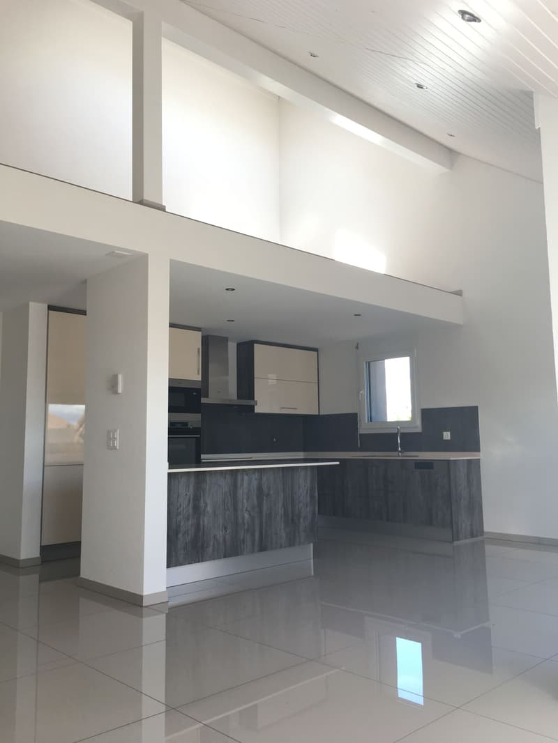 MAGNIFIQUE DUPLEX EN ATTIQUE (5)