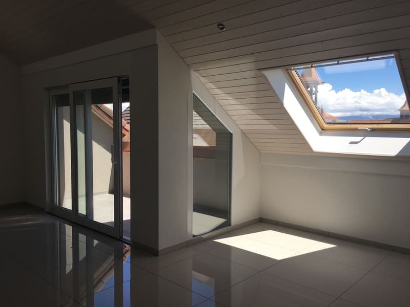 MAGNIFIQUE DUPLEX EN ATTIQUE (4)