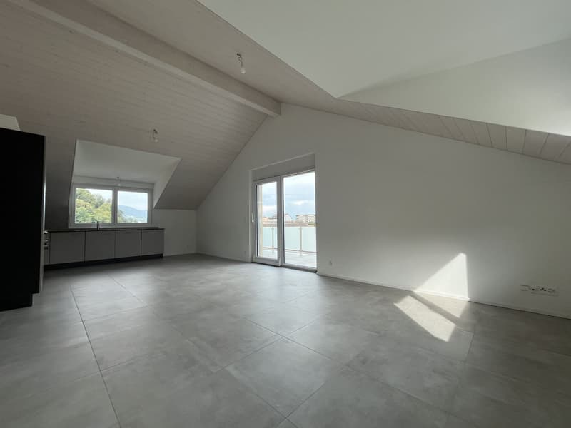 MAGNIFICENT ATTIC, MODERN AND NEW (1)