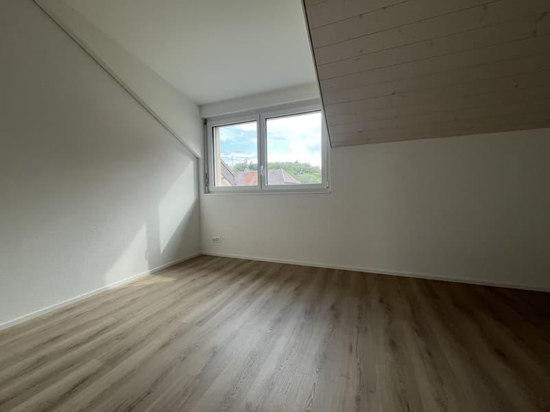 MAGNIFICENT ATTIC, MODERN AND NEW (8)