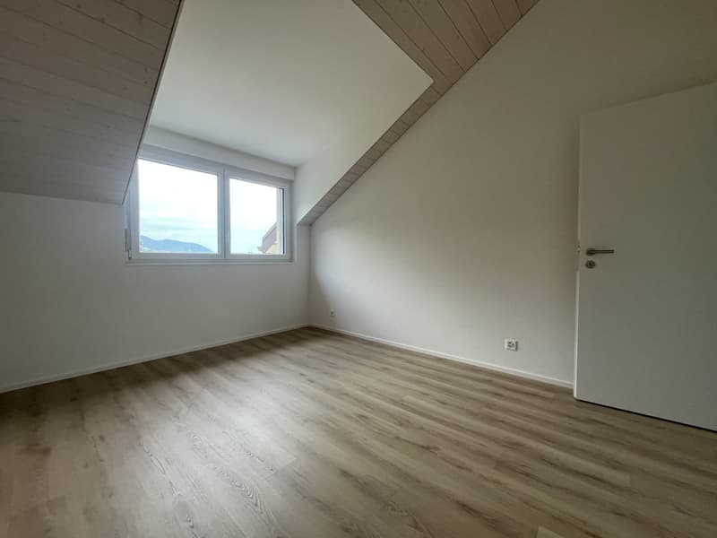 MAGNIFICENT ATTIC, MODERN AND NEW (11)