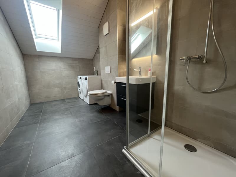 MAGNIFIQUE ATTIQUE, MODERNE ET NEUF (13)