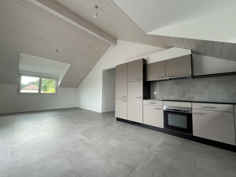 MAGNIFICENT ATTIC, MODERN AND NEW (6)