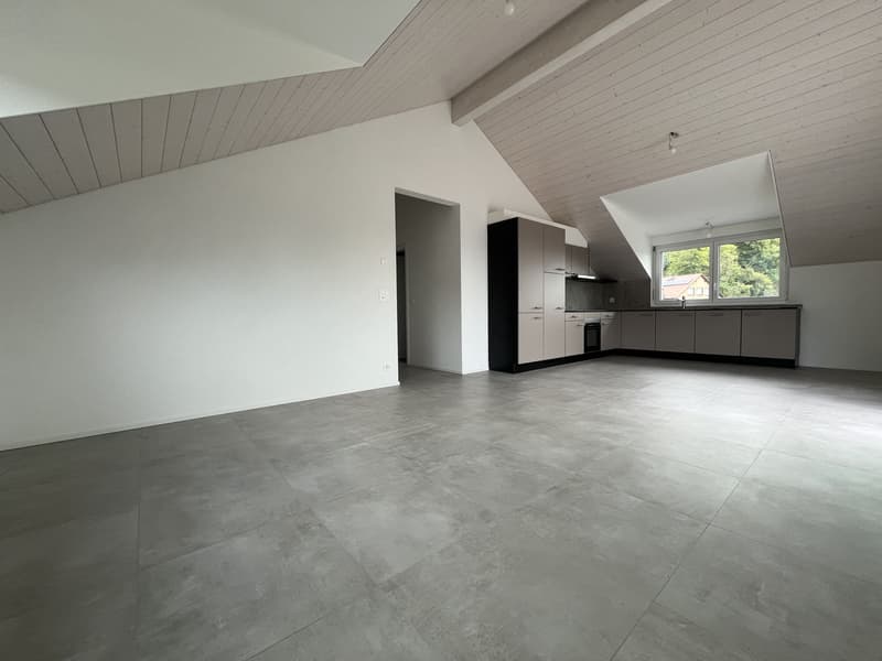 MAGNIFICENT ATTIC, MODERN AND NEW (4)