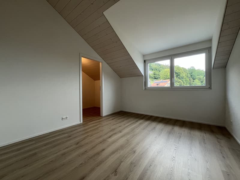 MAGNIFICENT ATTIC, MODERN AND NEW (10)