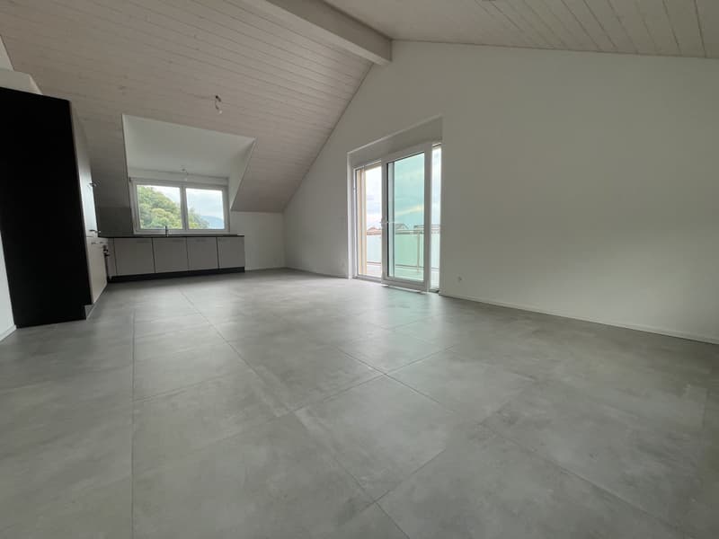 MAGNIFICENT ATTIC, MODERN AND NEW (3)