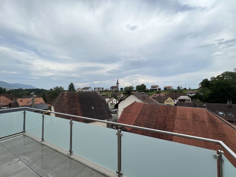 MAGNIFICENT ATTIC, MODERN AND NEW (7)