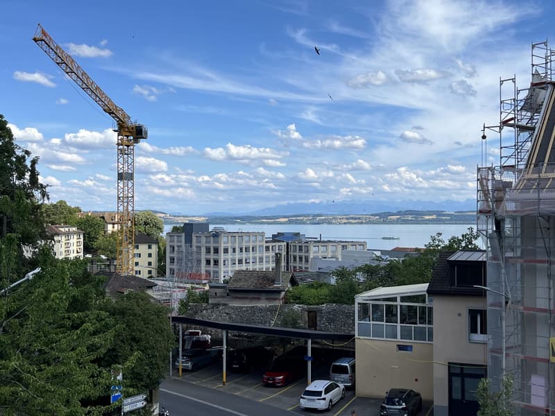 VÖLLIG RENOVIERTE WOHNUNG MIT SEEBLICK (1)